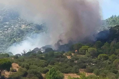 Muğla’da orman yangını
