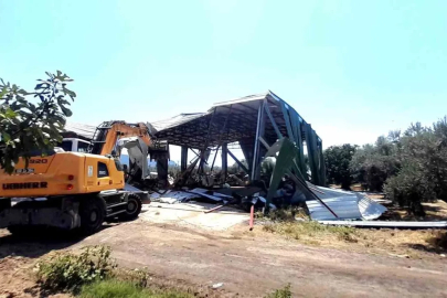 Bursa’da zeytinliğe yapılan kaçak depo böyle yıkıldı

