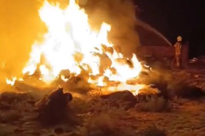 Karacabey’de çiftlik alevlere teslim oldu: Hayvanlar son anda kurtarıldı
