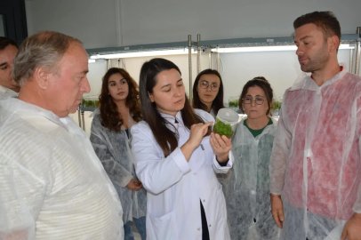 BAÇEM’in Bitki Doku Kültürü Kursu’na yoğun ilgi